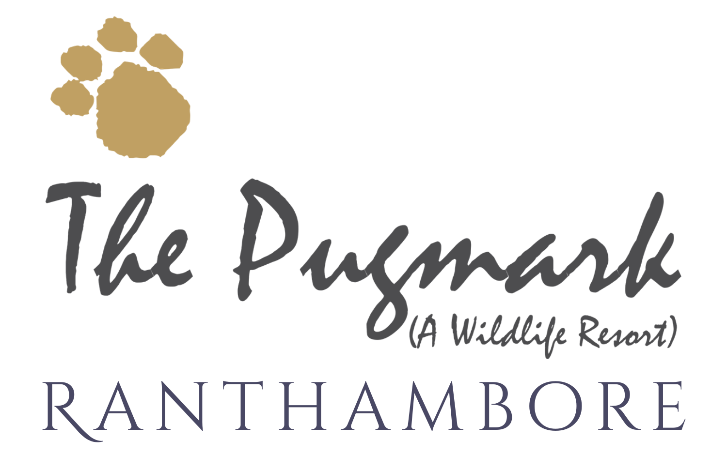 The Pugmark | Ranthambore