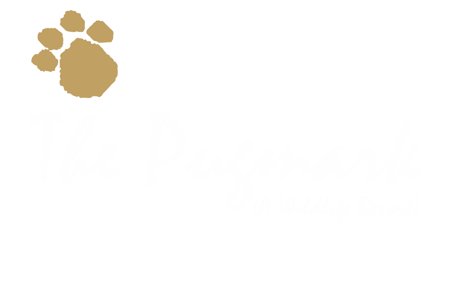 The Pugmark | Ranthambore